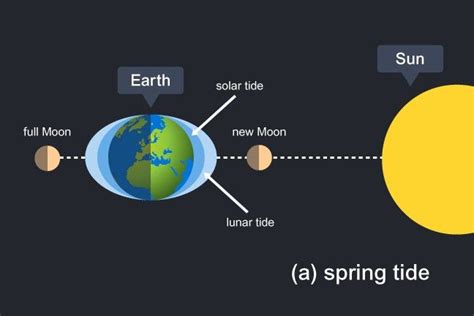 The Spring Equinox and its Cultural Significance in Ancient Civilizations